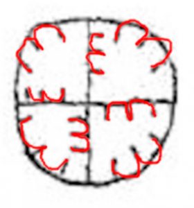 Glyph overlay on a circle diagram