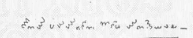 The marginal cipher glyphs, rotated to read horizontally
